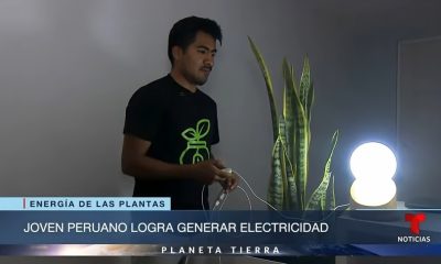 Generación de energía a través de plantas podría aliviar la crisis de apagones en Cuba (1)