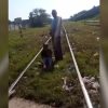 Maquinista evita un desenlace fatal en las líneas del tren de Luyanó