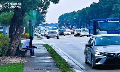 Ola de frío en el sur de Florida temperaturas caen por debajo de los 10°C 1 (1)