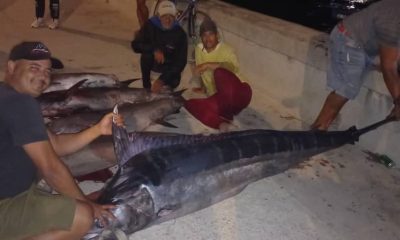Pescadores cubanos capturan un tiburón cerca del malecón de La Habana 8