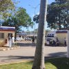Renta de autos de turismo en Cuba gobierno cambia las condiciones para los clientes
