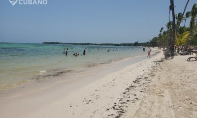 Vacaciones ideales para cubanos en Tampa reencuéntrate con tu familia de la Isla en Punta Cana