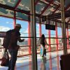 Aduana de Cuba fortalece los controles para detectar actitudes delictivas en los visitantes