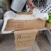 Carretilleros en Cuba venden “arroz importado” a 320 CUP la libra