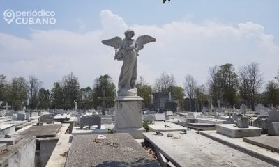 Confirman feminicidios de dos ancianas en las provincias de Artemisa y La Habana