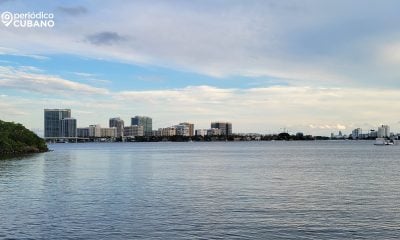 Florida y Texas son los estados que reciben mayor migración interna en EEUU