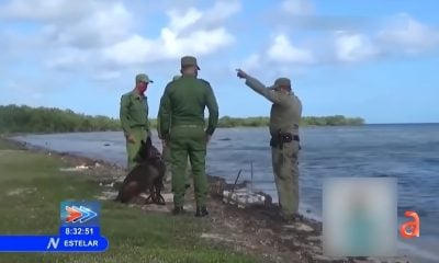 Gobierno cubano tratará de atender los problemas de drogas con nueva estrategia (1)