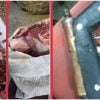 Incautan carne de res y armas caseras en operativo en Santiago de Cuba