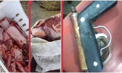 Incautan carne de res y armas caseras en operativo en Santiago de Cuba