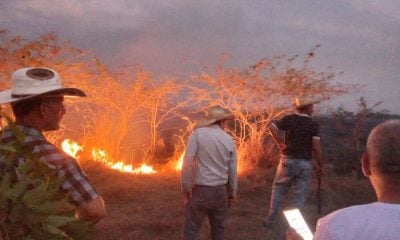 Incendio en Sancti Spíritus amenazó a parque solar fotovoltaico de la UNE