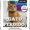 Ofrecen 100 dólares por información de gato desaparecido en La Habana