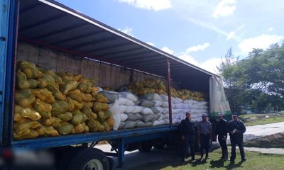 Policía decomisa más de 530 sacos de arroz y calabazas en Santa Clara