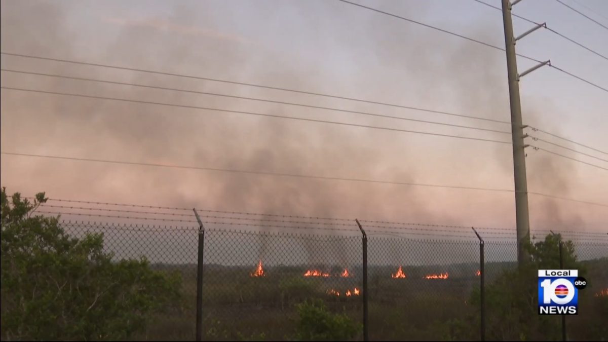Bomberos logran contener incendio forestal al sur del condado de Miami-Dade
