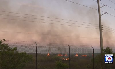 Bomberos logran contener incendio forestal al sur del condado de Miami-Dade