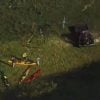 Caimán ataca a kayakista en Florida llamada al 911 revela los momentos de pánico (1)