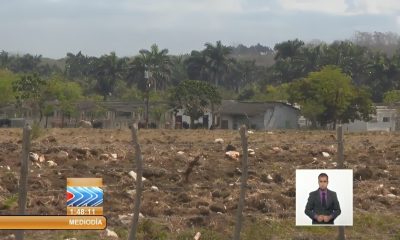 Cuba prepara nueva ley de tierras que regula la propiedad de inversionistas extranjeros