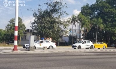 Cuba registró un aumento de robos y homicidios durante 2024
