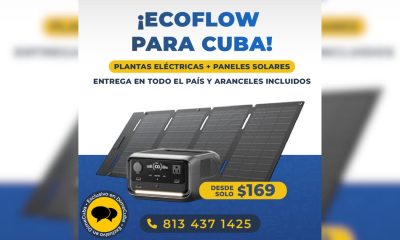 Las plantas eléctricas más populares en TikTok para enviar ahora mismo a toda Cuba