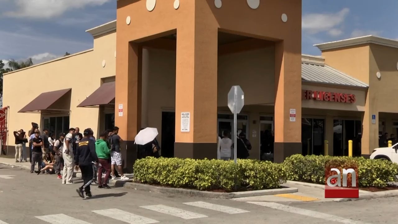 Desmantelan red de reventa de citas para trámites de licencia de conducir en Miami-Dade