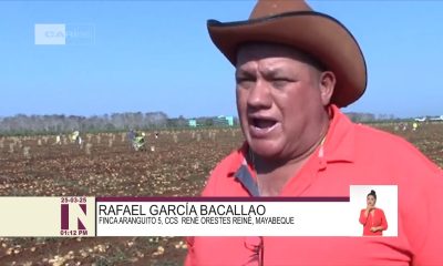Finca estatal pide dinero a Mipyme privada para pagar salario a campesinos
