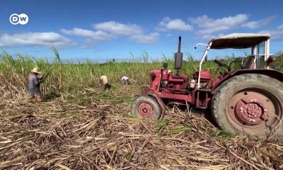 Gaceta Oficial define precios máximos de acopio para la caña de azúcar que desincentiva la producción 