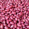 Gobierno impone precios topados al arroz y los frijoles de producción nacional