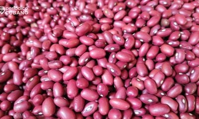 Gobierno impone precios topados al arroz y los frijoles de producción nacional