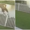 Hombre detenido por asesinar a su madre