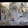 Incendio de grandes proporciones se extiende por 300 hectáreas en Pinar del Río