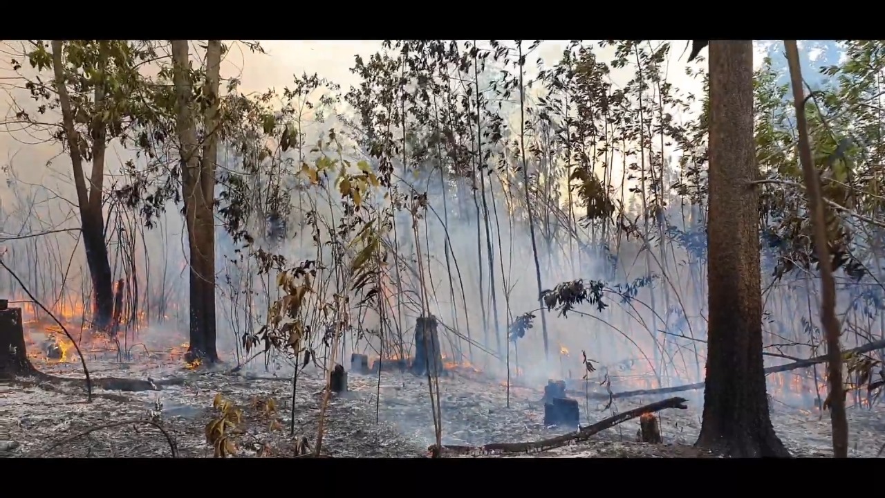 Incendio de grandes proporciones se extiende por 300 hectáreas en Pinar del Río
