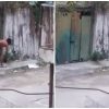 Mujer mata gato en La Habana (1)