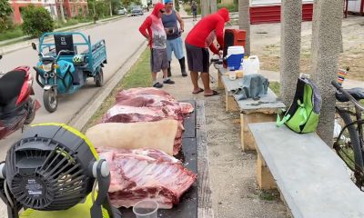 Precio de la carne de puerco en Cuba aumenta 63% en solo seis meses