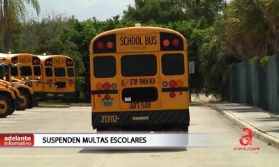 Suspenden multas por adelantar a autobuses escolares en Miami-Dade
