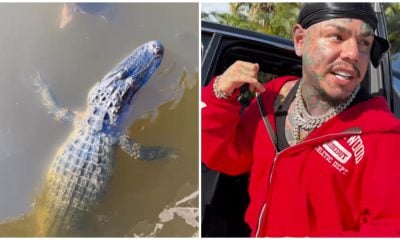 Tekashi y Cocodrilo