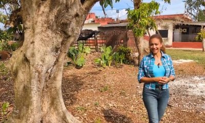Venden finca con casa de campo cerca de Guanajay por 70 mil dólares