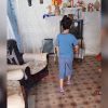 Autoridades niegan transporte a niño portador de VIH para consultas médicas La Habana