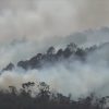 Cuba registró en su territorio 136 incendios forestales entre enero y marzo