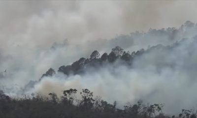 Cuba registró en su territorio 136 incendios forestales entre enero y marzo