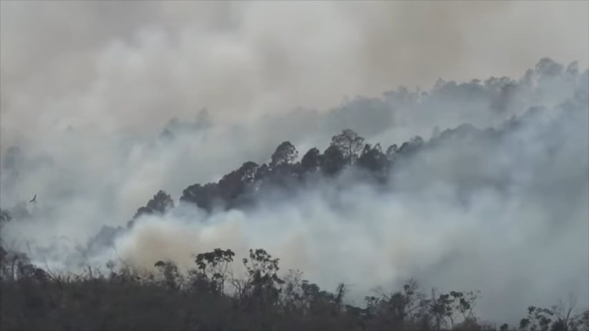 Cuba registró en su territorio 136 incendios forestales entre enero y marzo