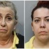 Cubanas enfrentan cargos por fraude y robo en supermercado de Hialeah (1)
