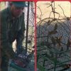 Decenas de aves rescatadas en Santiago de Cuba antes de ser vendidas en el mercado informal