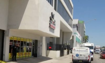 Del Toro insurance (1)
