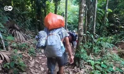 Drástica reducción de migrantes en la selva del Darién ante políticas de Donald Trump (1)