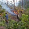 Grave incendio forestal destruye más de más de 1.200 hectáreas de bosques en Pinar del Río