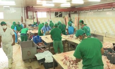Inauguran fábrica de picadillo MDM, gobierno asegura que costó medio millón de dólares