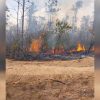 Más de 160 incendios forestales activos en el territorio de Pinar del Río