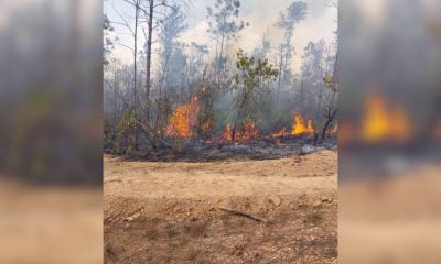 Más de 160 incendios forestales activos en el territorio de Pinar del Río