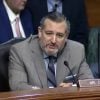 Senador cubanoamericano Ted Cruz critica los aranceles de Trump