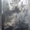 Sofocan incendio en Pinar del Río tras más de 3.200 hectáreas arrasadas por el fuego
