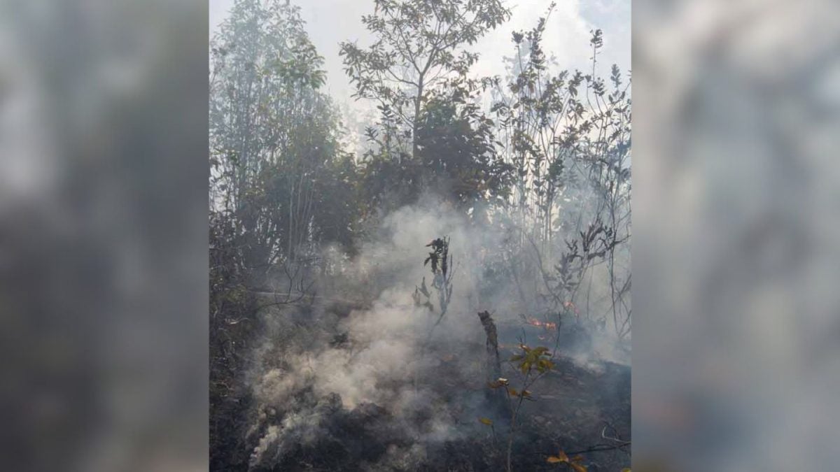 Sofocan incendio en Pinar del Río tras más de 3.200 hectáreas arrasadas por el fuego